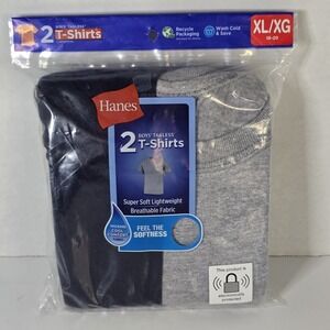 Hanes Boys T-Shirts 2 pack Size XL (18-20) Tagless Gray & Blue Wicking